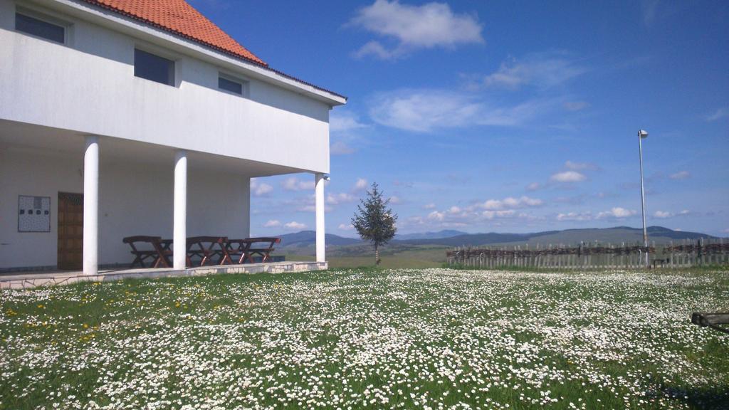 Apartments Zlatiborski Visovi Buitenkant foto